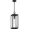 Quoizel Westover 1-Light Western Bronze Mini Pendant WVR1507WT - alternate 3